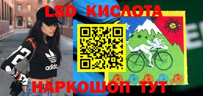 индика Новозыбков