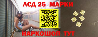 индика Новозыбков