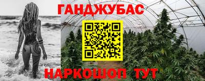 индика Новозыбков