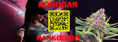 индика Новозыбков