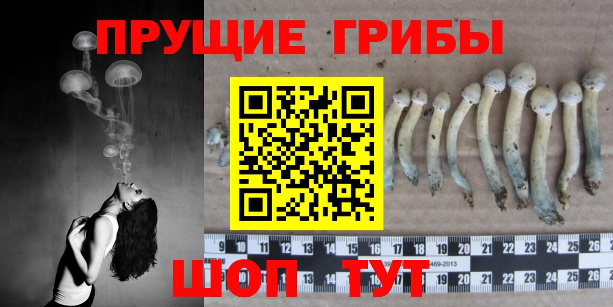 наркотики  Псилоцибиновые грибы GOLDEN TEACHER  Вход с VPN  Тюмень 